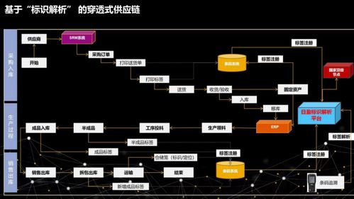 供應(yīng)鏈管理服務(wù) 現(xiàn)代商業(yè)的隱形引擎與競爭優(yōu)勢